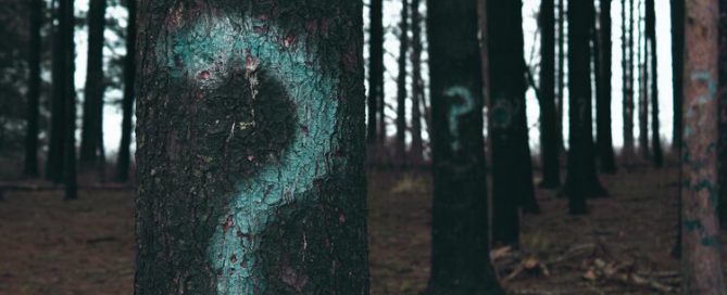 evan-dennis-i--IN3cvEjg-unsplash